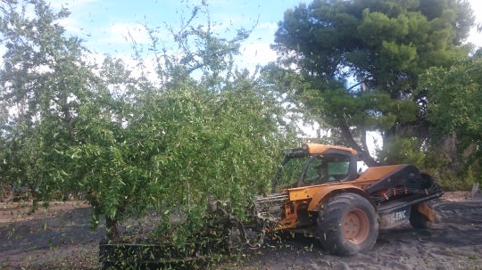 La profesionalidad es un pilar en Segura Agroservicio